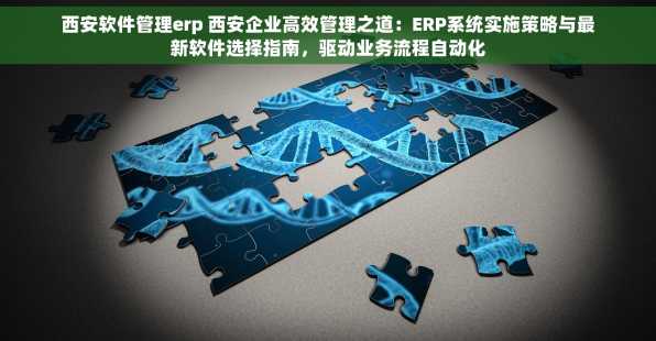 西安软件管理erp 西安企业高效管理之道：ERP系统实施策略与最新软件选择指南，驱动业务流程自动化