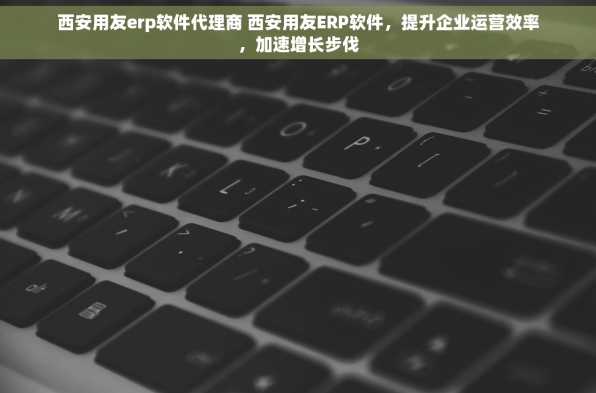 西安用友erp软件代理商 西安用友ERP软件，提升企业运营效率，加速增长步伐