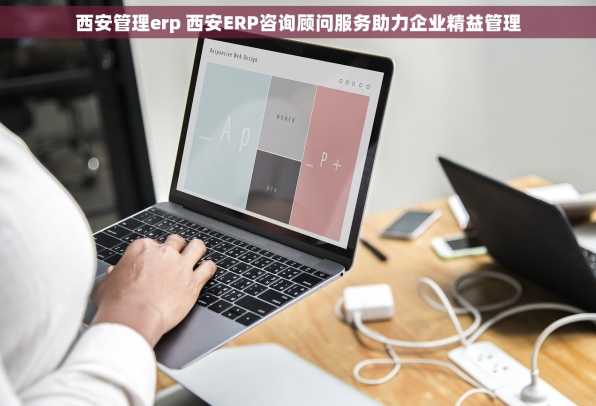 西安管理erp 西安ERP咨询顾问服务助力企业精益管理