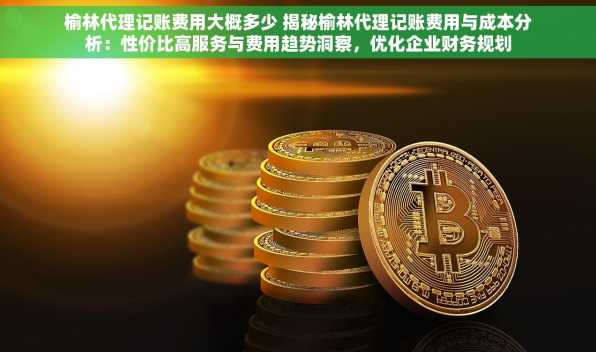 榆林代理记账费用大概多少 揭秘榆林代理记账费用与成本分析：性价比高服务与费用趋势洞察，优化企业财务规划