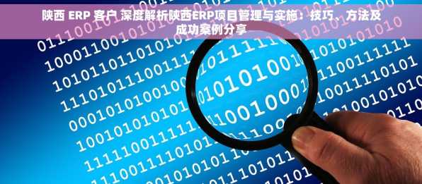 陕西 ERP 客户 深度解析陕西ERP项目管理与实施：技巧、方法及成功案例分享