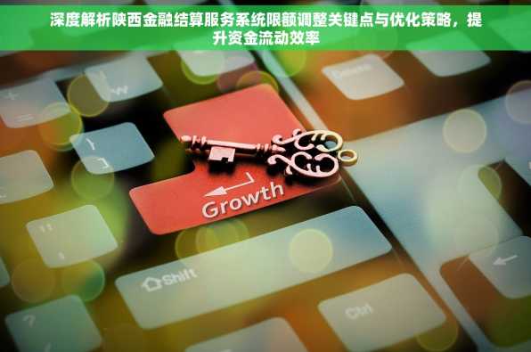深度解析陕西金融结算服务系统限额调整关键点与优化策略，提升资金流动效率