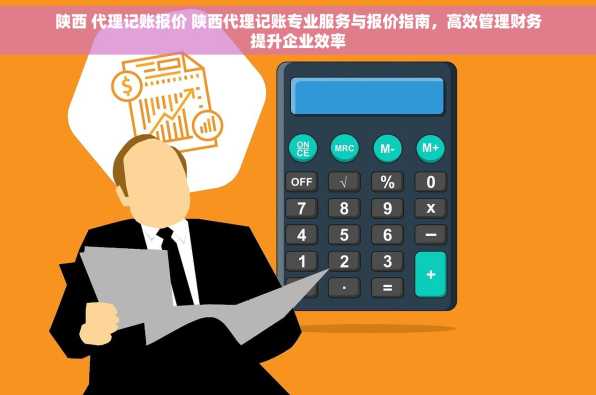 陕西 代理记账报价 陕西代理记账专业服务与报价指南，高效管理财务提升企业效率