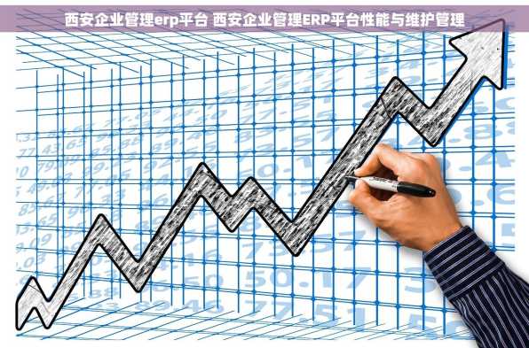 西安企业管理erp平台 西安企业管理ERP平台性能与维护管理