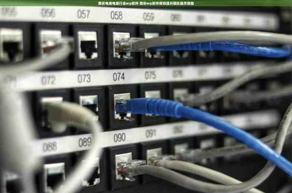 西安电线电缆行业erp软件 西安erp软件培训提升团队操作技能