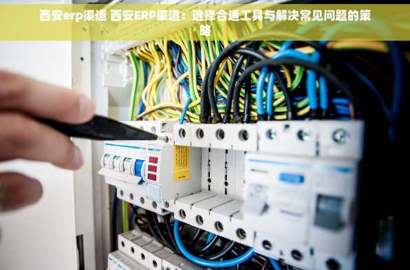 西安erp渠道 西安ERP渠道：选择合适工具与解决常见问题的策略