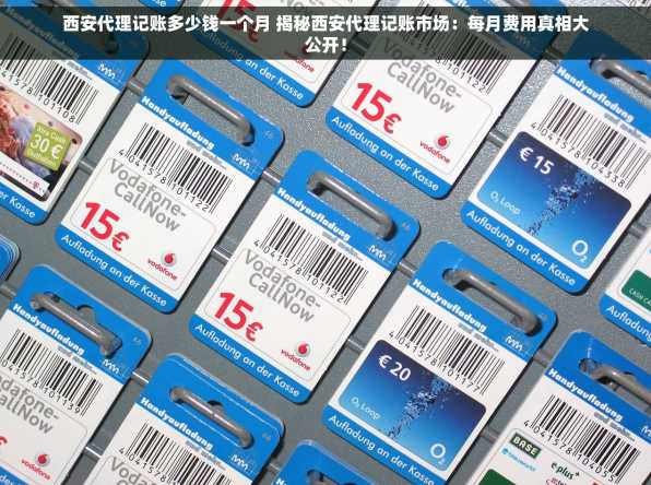 西安代理记账多少钱一个月 揭秘西安代理记账市场：每月费用真相大公开！