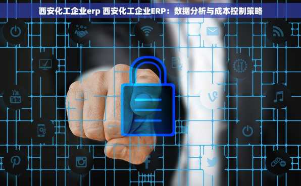 西安化工企业erp 西安化工企业ERP：数据分析与成本控制策略