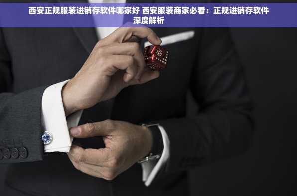 西安正规服装进销存软件哪家好 西安服装商家必看：正规进销存软件深度解析