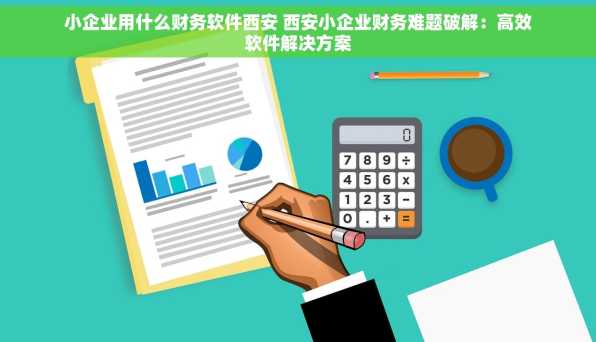 小企业用什么财务软件西安 西安小企业财务难题破解：高效软件解决方案