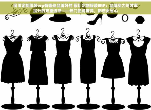 铜川定制服装erp有哪些品牌好的 铜川定制服装ERP：品牌实力与效率提升的双重选择——热门品牌推荐，助您更省心