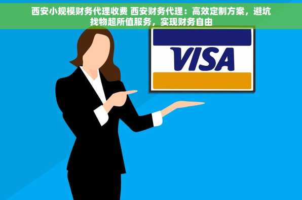 西安小规模财务代理收费 西安财务代理：高效定制方案，避坑找物超所值服务，实现财务自由