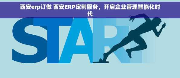 西安erp订做 西安ERP定制服务，开启企业管理智能化时代