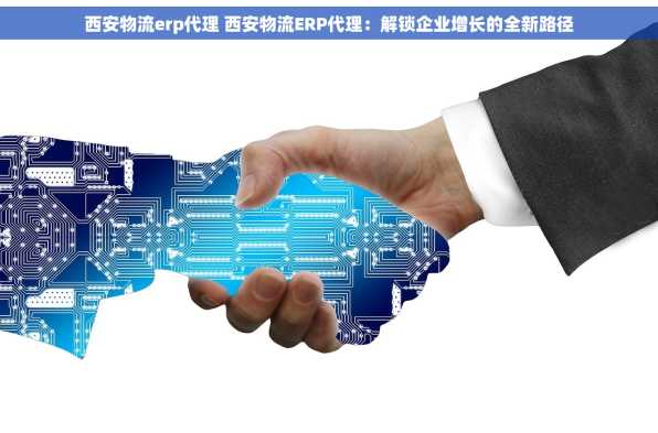 西安物流erp代理 西安物流ERP代理：解锁企业增长的全新路径