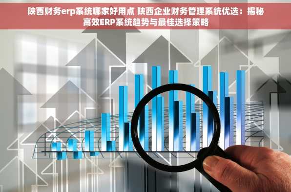 陕西财务erp系统哪家好用点 陕西企业财务管理系统优选：揭秘高效ERP系统趋势与最佳选择策略