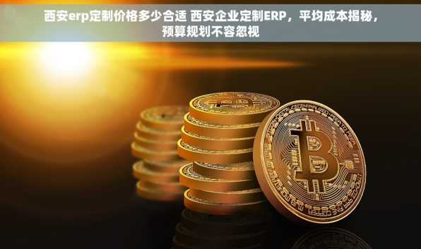 西安erp定制价格多少合适 西安企业定制ERP，平均成本揭秘，预算规划不容忽视