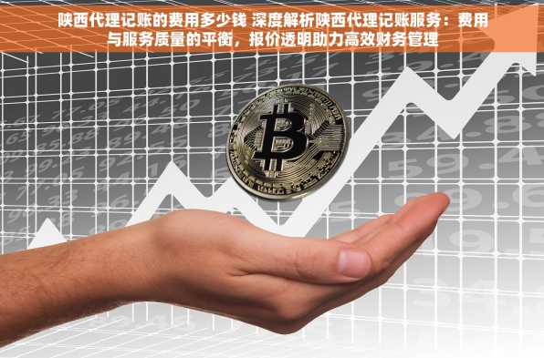 陕西代理记账的费用多少钱 深度解析陕西代理记账服务：费用与服务质量的平衡，报价透明助力高效财务管理