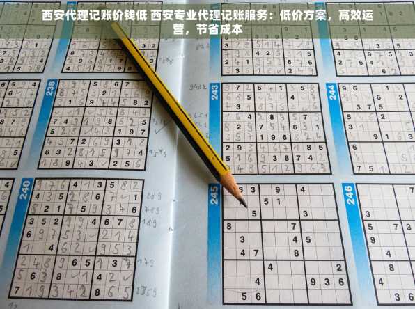 西安代理记账价钱低 西安专业代理记账服务：低价方案，高效运营，节省成本