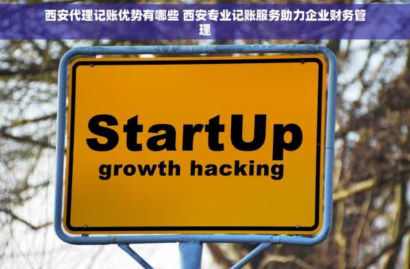 西安代理记账优势有哪些 西安专业记账服务助力企业财务管理