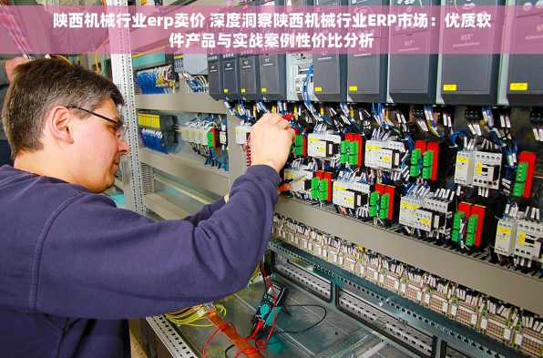 陕西机械行业erp卖价 深度洞察陕西机械行业ERP市场：优质软件产品与实战案例性价比分析