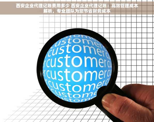 西安企业代理记账费用多少 西安企业代理记账：高效管理成本解析，专业团队为您节省财务成本