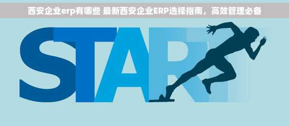 西安企业erp有哪些 最新西安企业ERP选择指南，高效管理必备