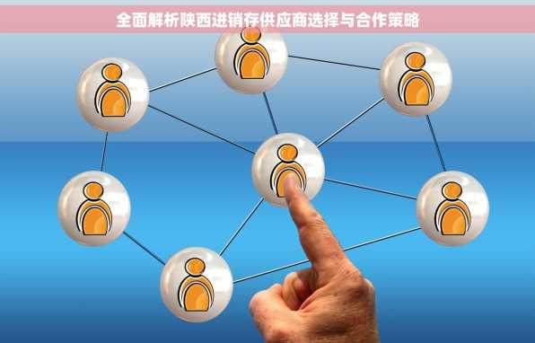 全面解析陕西进销存供应商选择与合作策略