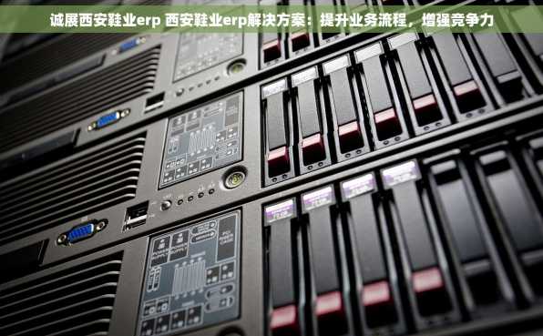 诚展西安鞋业erp 西安鞋业erp解决方案：提升业务流程，增强竞争力