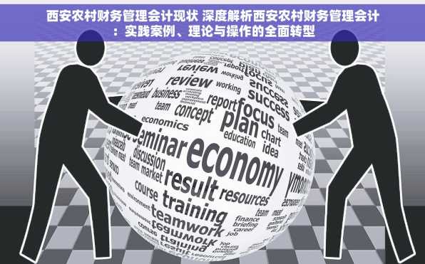 西安农村财务管理会计现状 深度解析西安农村财务管理会计：实践案例、理论与操作的全面转型