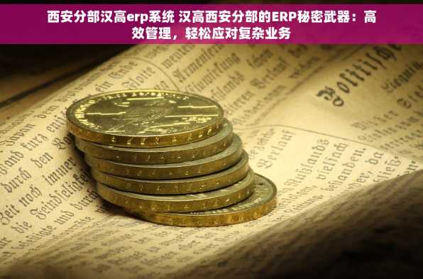 西安分部汉高erp系统 汉高西安分部的ERP秘密武器：高效管理，轻松应对复杂业务