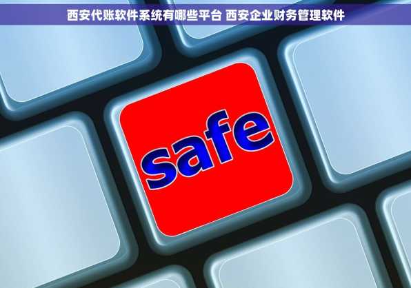 西安代账软件系统有哪些平台 西安企业财务管理软件