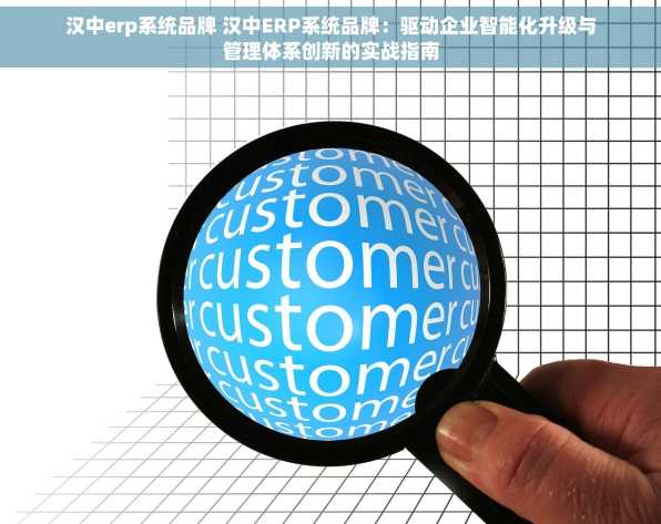 汉中erp系统品牌 汉中ERP系统品牌：驱动企业智能化升级与管理体系创新的实战指南