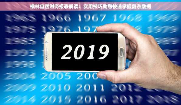 榆林自然财务报表解读：实用技巧助您快速掌握复杂数据