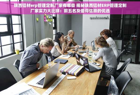 陕西铝材erp管理定制厂家有哪些 揭秘陕西铝材ERP管理定制厂家实力大比拼：前五名及值得信赖的优选
