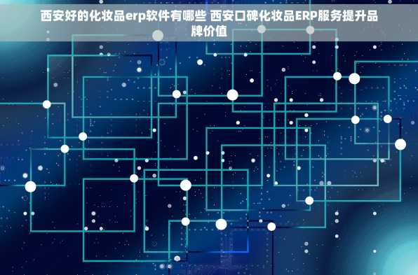 西安好的化妆品erp软件有哪些 西安口碑化妆品ERP服务提升品牌价值