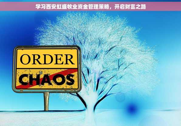 学习西安虹盛牧业资金管理策略，开启财富之路