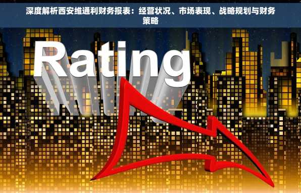 深度解析西安维通利财务报表：经营状况、市场表现、战略规划与财务策略