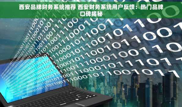 西安品牌财务系统推荐 西安财务系统用户反馈：热门品牌口碑揭秘
