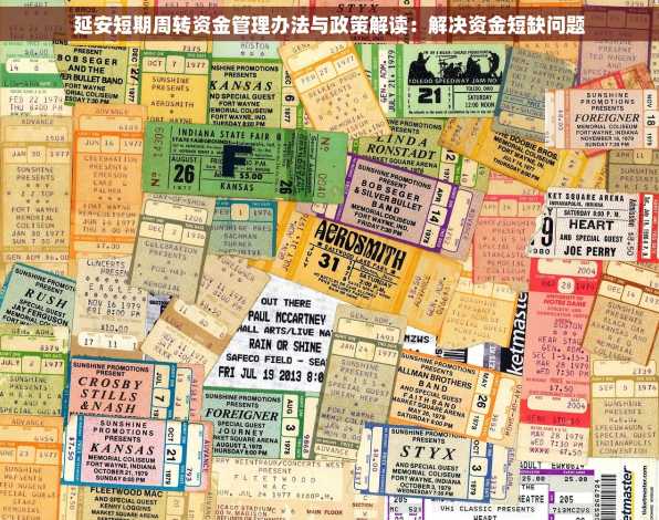 延安短期周转资金管理办法与政策解读：解决资金短缺问题