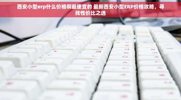 西安小型erp什么价格啊最便宜的 最新西安小型ERP价格攻略，寻找性价比之选