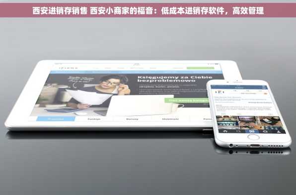 西安进销存销售 西安小商家的福音：低成本进销存软件，高效管理