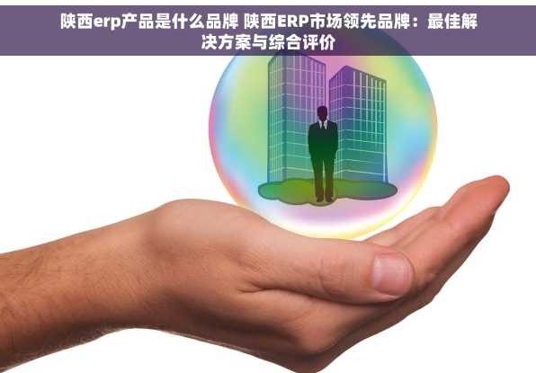 陕西erp产品是什么品牌 陕西ERP市场领先品牌：最佳解决方案与综合评价