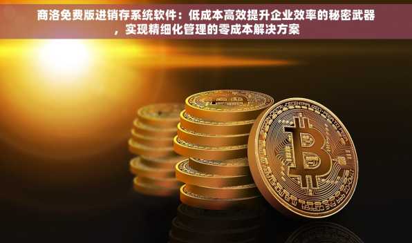商洛免费版进销存系统软件：低成本高效提升企业效率的秘密武器，实现精细化管理的零成本解决方案