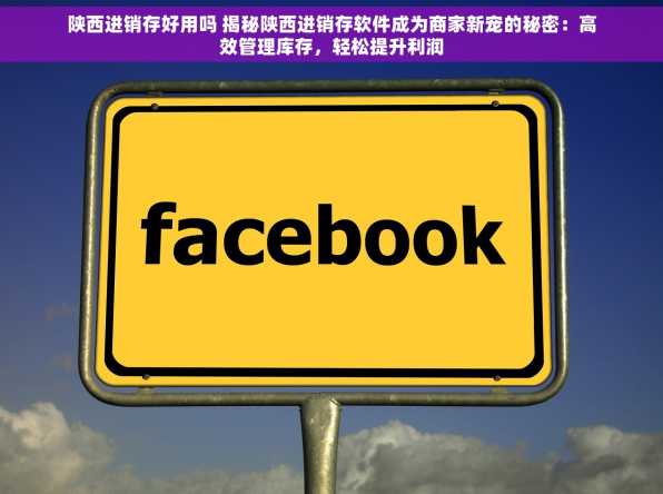 陕西进销存好用吗 揭秘陕西进销存软件成为商家新宠的秘密：高效管理库存，轻松提升利润