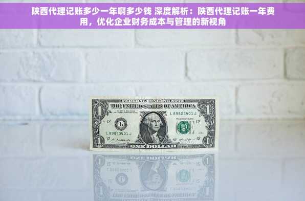 陕西代理记账多少一年啊多少钱 深度解析：陕西代理记账一年费用，优化企业财务成本与管理的新视角