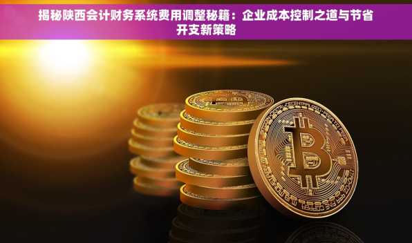 揭秘陕西会计财务系统费用调整秘籍：企业成本控制之道与节省开支新策略