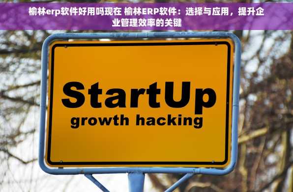 榆林erp软件好用吗现在 榆林ERP软件：选择与应用，提升企业管理效率的关键