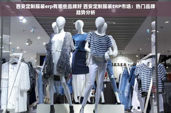 西安定制服装erp有哪些品牌好 西安定制服装ERP市场：热门品牌趋势分析