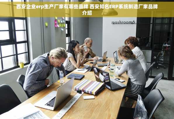 西安企业erp生产厂家有哪些品牌 西安知名ERP系统制造厂家品牌介绍