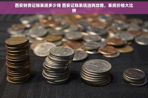 西安财务记账系统多少钱 西安记账系统选购攻略，系统价格大比拼